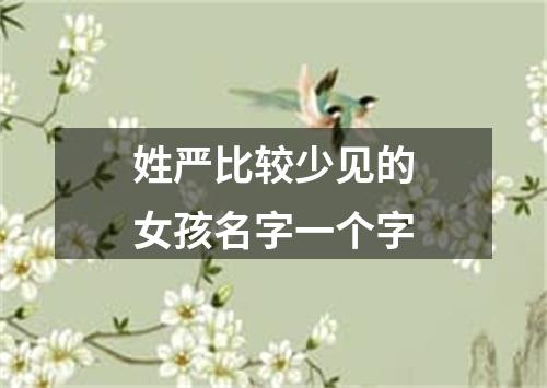 姓严比较少见的女孩名字一个字