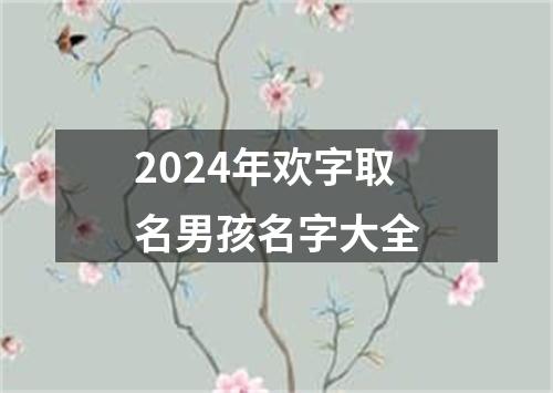 2024年欢字取名男孩名字大全