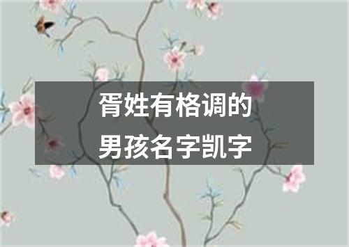 胥姓有格调的男孩名字凯字