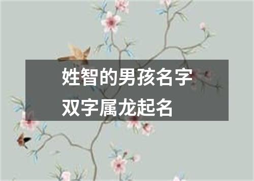 姓智的男孩名字双字属龙起名