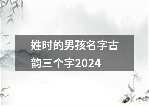 姓时的男孩名字古韵三个字2024