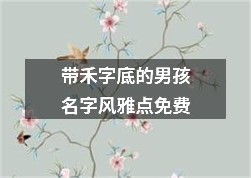 带禾字底的男孩名字风雅点免费