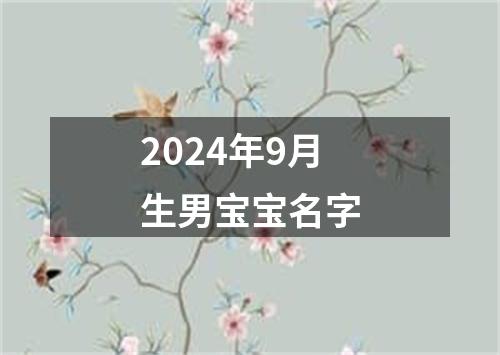 2024年9月生男宝宝名字