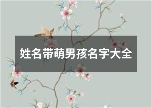 姓名带萌男孩名字大全