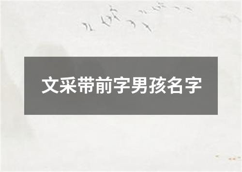 文采带前字男孩名字