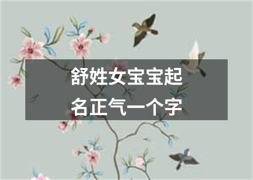 舒姓女宝宝起名正气一个字