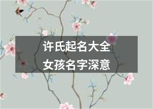 许氏起名大全女孩名字深意