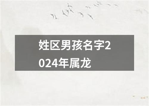 姓区男孩名字2024年属龙