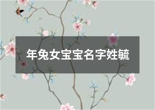 年兔女宝宝名字姓毓