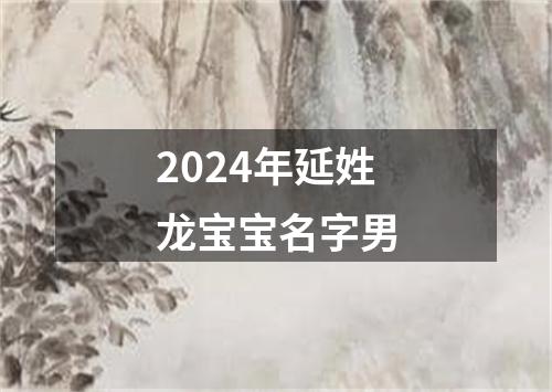 2024年延姓龙宝宝名字男