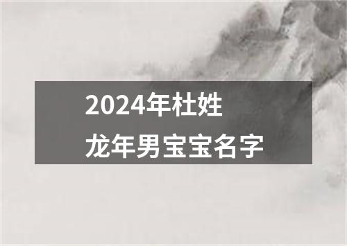 2024年杜姓龙年男宝宝名字