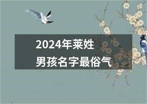 2024年莱姓男孩名字最俗气