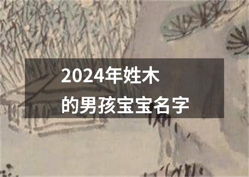 2024年姓木的男孩宝宝名字