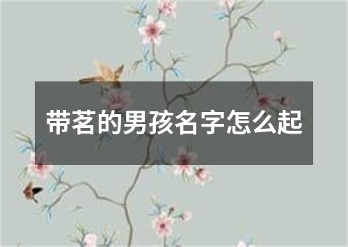 带茗的男孩名字怎么起