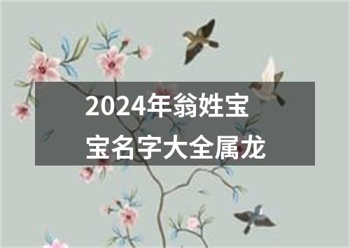 2024年翁姓宝宝名字大全属龙