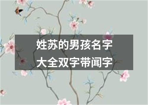 姓苏的男孩名字大全双字带闻字