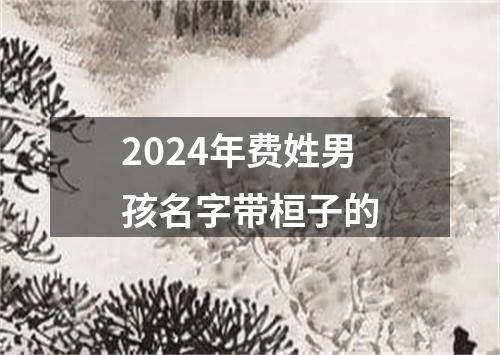 2024年费姓男孩名字带桓子的