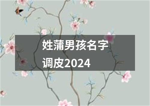 姓蒲男孩名字调皮2024