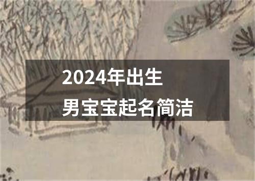 2024年出生男宝宝起名简洁