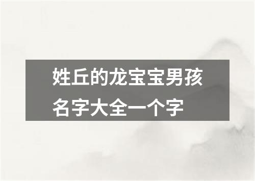 姓丘的龙宝宝男孩名字大全一个字