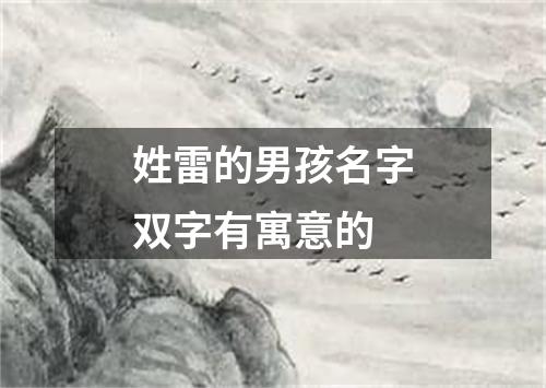 姓雷的男孩名字双字有寓意的