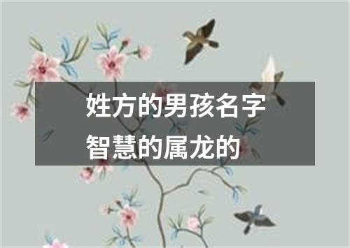 姓方的男孩名字智慧的属龙的