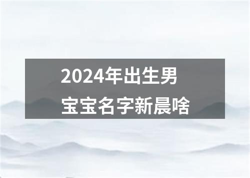 2024年出生男宝宝名字新晨啥