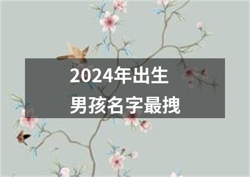 2024年出生男孩名字最拽