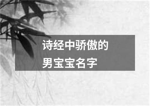 诗经中骄傲的男宝宝名字