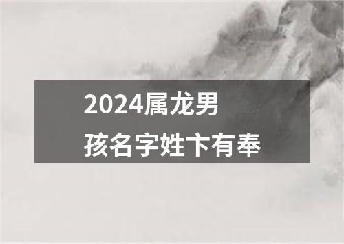 2024属龙男孩名字姓卞有奉