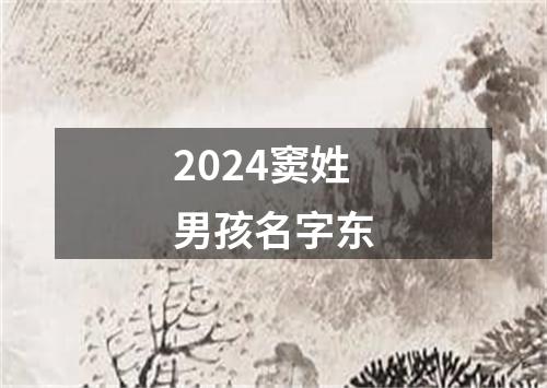 2024窦姓男孩名字东