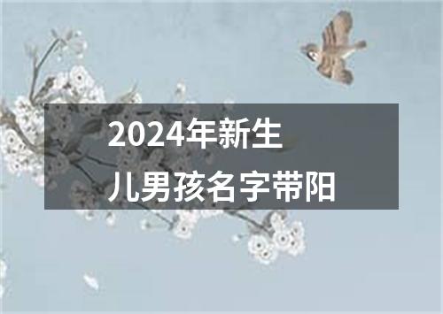 2024年新生儿男孩名字带阳