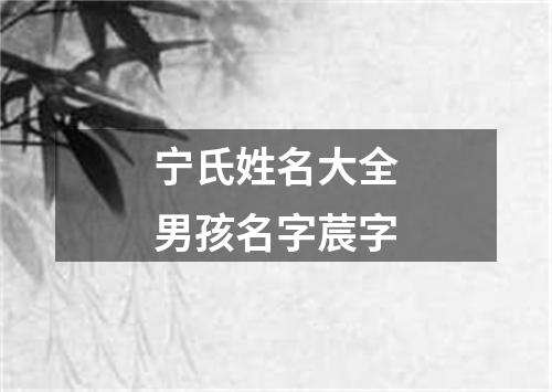 宁氏姓名大全男孩名字莀字