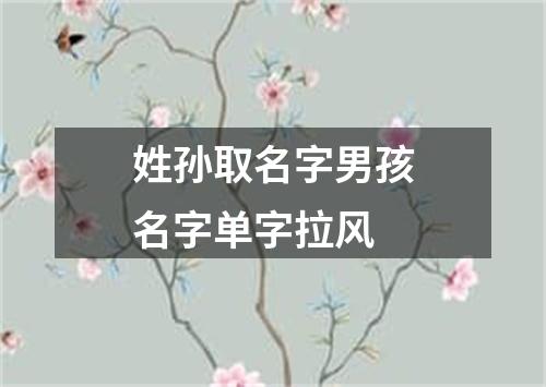 姓孙取名字男孩名字单字拉风