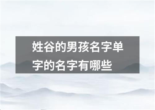 姓谷的男孩名字单字的名字有哪些