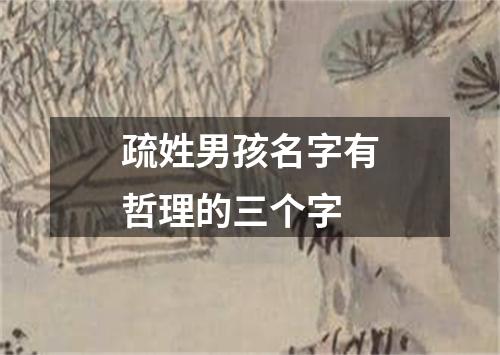 疏姓男孩名字有哲理的三个字