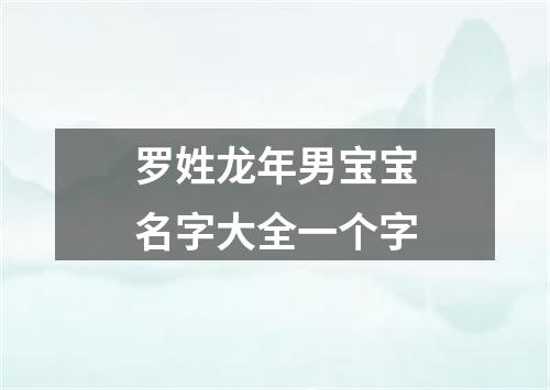 罗姓龙年男宝宝名字大全一个字