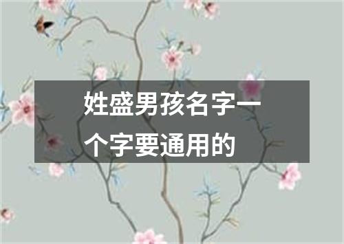 姓盛男孩名字一个字要通用的