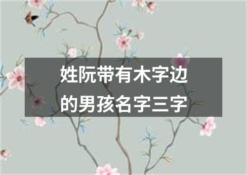 姓阮带有木字边的男孩名字三字