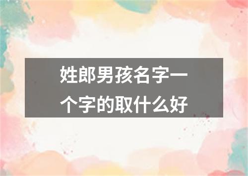 姓郎男孩名字一个字的取什么好