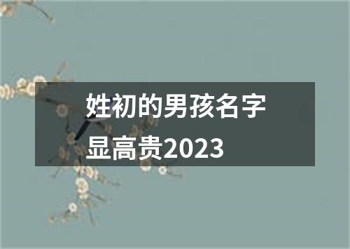 姓初的男孩名字显高贵2023