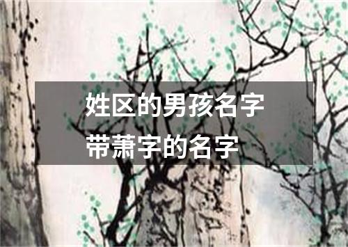 姓区的男孩名字带萧字的名字