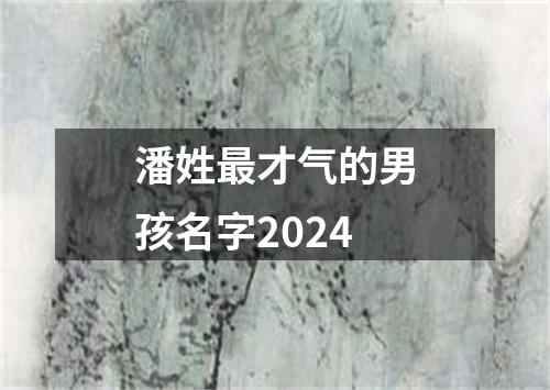 潘姓最才气的男孩名字2024