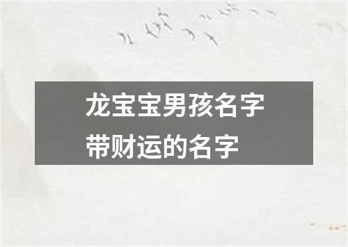 龙宝宝男孩名字带财运的名字