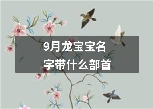 9月龙宝宝名字带什么部首