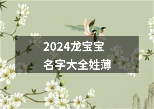 2024龙宝宝名字大全姓薄