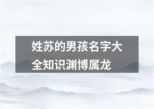 姓苏的男孩名字大全知识渊博属龙