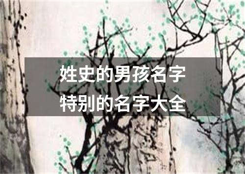 姓史的男孩名字特别的名字大全