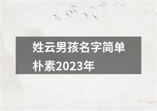 姓云男孩名字简单朴素2023年