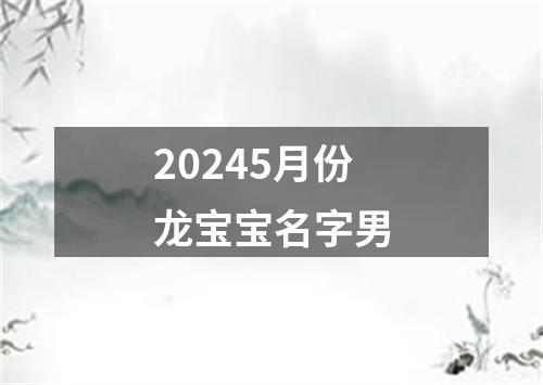 20245月份龙宝宝名字男